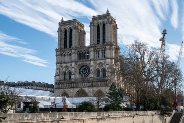 Des chênes de la forêt de Tronçais (Allier) ont servis à la reconstruction de la cathédrale Notre-Dame de Paris.