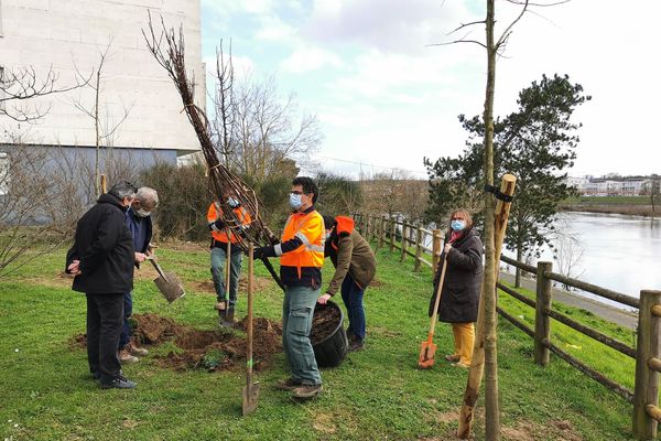 Place Jean-Baptiste Carpeaux, l'un des dix sites retenus pour cette première plantation