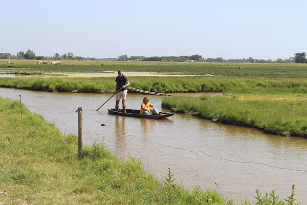 Julie Hattu en balade dans le marais breton vendéen