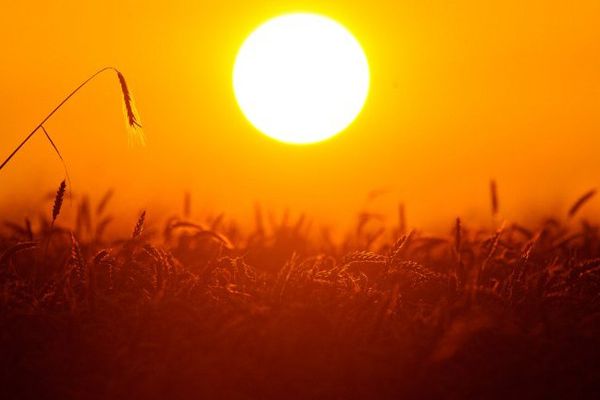 Le soleil est vraiment de retour.