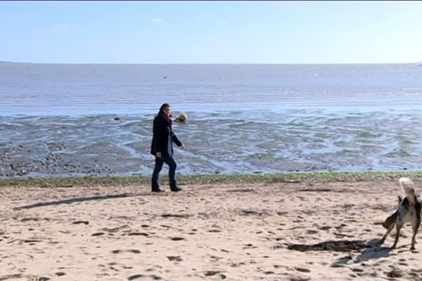 Sophie Simula, de la vallée de l'Ouche aux plages de l'Atlantique