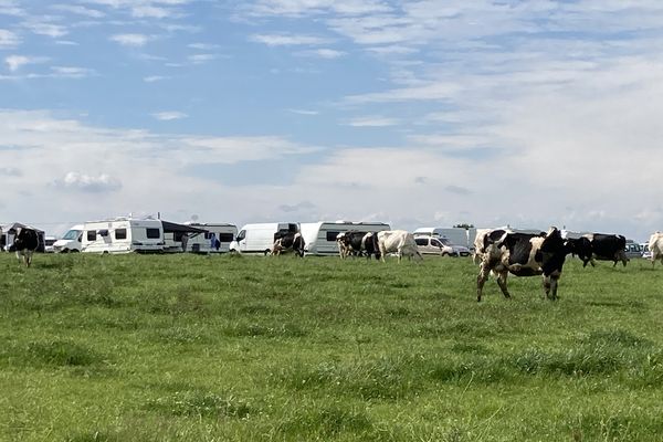 A Lanester au lieu-dit Kermen, une cinquantaine de personnes de la communauté des gens du voyage a installé ses caravanes sur des pâturages contre l'avis des propriétaires.