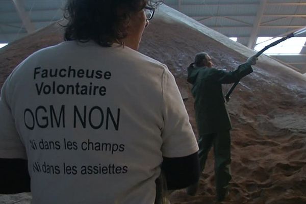 Les faucheurs sont arrivés vers 06H30 sur les lieux, au terminal agro de Montoir-de-Bretagne