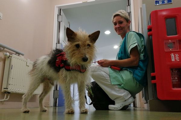 Hector, fox-terrier de 5 ans, et Murielle Grandemange, ergothérapeute à l’EHPAD « Les Jardins de la Charme » à Clermont-Ferrand.