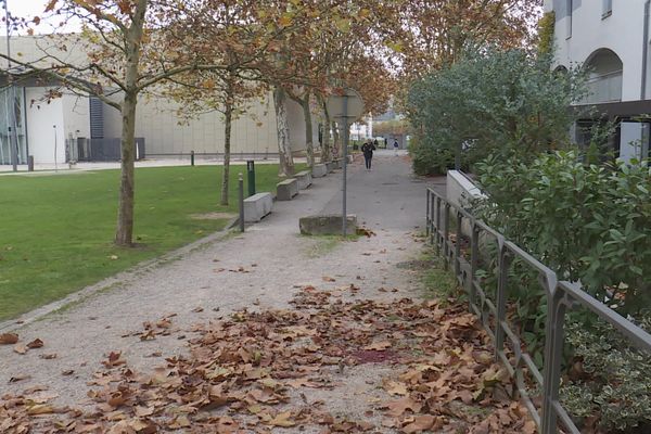 Un homme de 20 ans soupçonné d'être l'auteur de coups de feu qui ont fait un mort et un blessé grave a été interpellé.