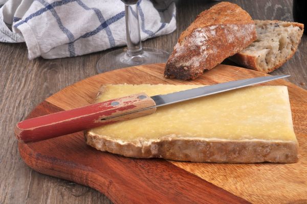 Le fromage du Cantal est souvent confondu avec le Salers ou le Tradition Salers.