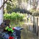 Les parcelles en bordure du marais de Bourges ont subi onze inondations depuis le début de l'année 2024.