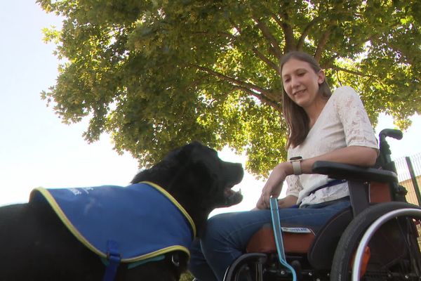 Le quotidien d'Anaïs va être simplifié grâce à l'arrivée de Nesquick. Un chien remis gratuitement pas l'association Handi'chiens.