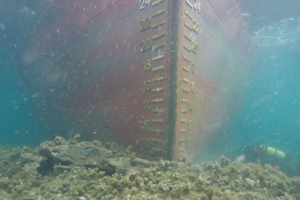 Cliché sous-marin du Rhodanus. 