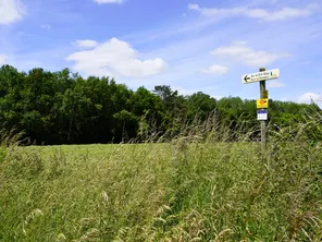 Suivez le petit moine, le logo des boucles de découverte des chemins de Cluny Franche-Comté et Bourgogne qui est apposé sur la signalétique des chemins des écoliers pour la boucle de Romenay.