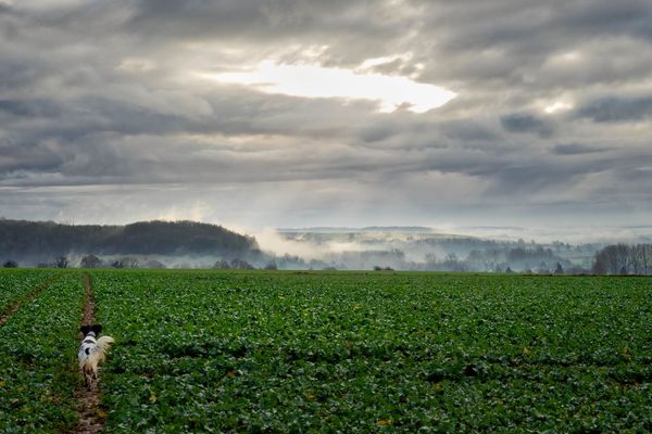 Heuchin dans la brume