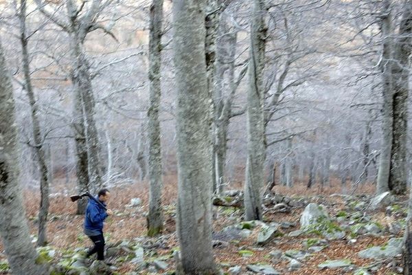 Dans le haut Taravu en Corse du sud