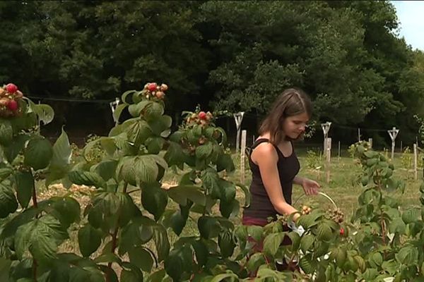 Anna, qui est horticultrice en Hongrie, est venue pratiquer le woofing en Bourgogne pour enrichir son expérience professionnelle