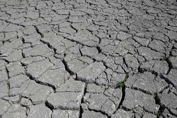 Quelque 16 communes du Puy-de-Dôme bénéficient d'une reconnaissance de l'état de catastrophe naturelle suite à la sécheresse de 2018.