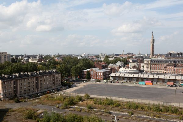 La friche Saint Sauveur s'étend sur 23 hectares en plein cœur de la ville. 