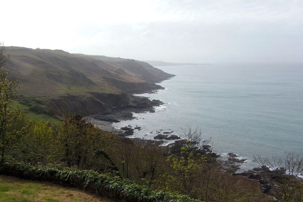 Dans le Cotentin, vers Gréville-Hague, une atmosphère d'abord brumeuse en ce SAMEDI.