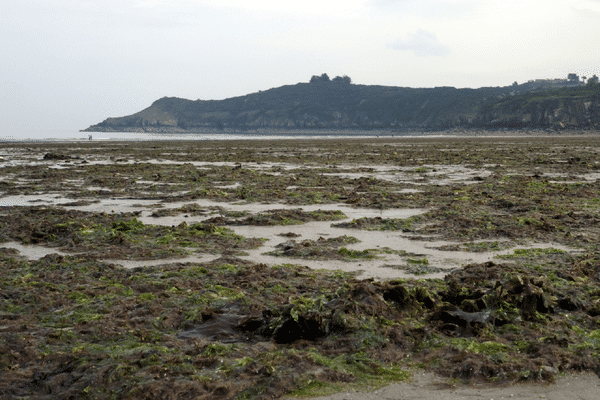 Plage de Plouha (22) le 6 mai 2011