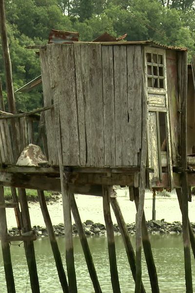 Les 17 cabanes à carrelet, situées à La Vicomté-sur-Rance et à Saint-Samson-sur-Rance, dans les Côtes-d'Armor, sont pour la plupart à l'abandon