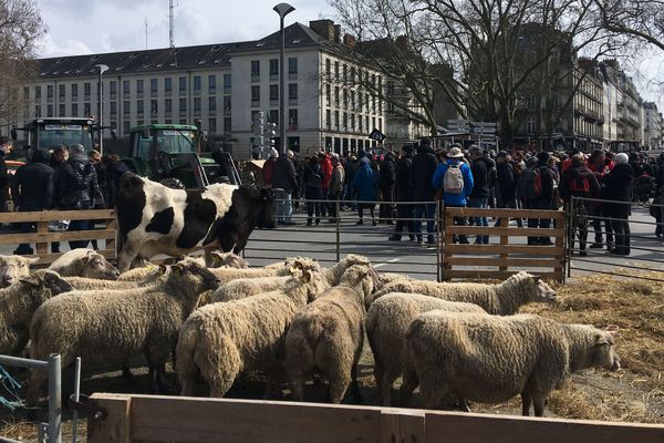 Manifestation devant le préfecture de Nantes contre le comité de pilotage sur l'avenir de la Zad de Notre-Dame-des-Landes