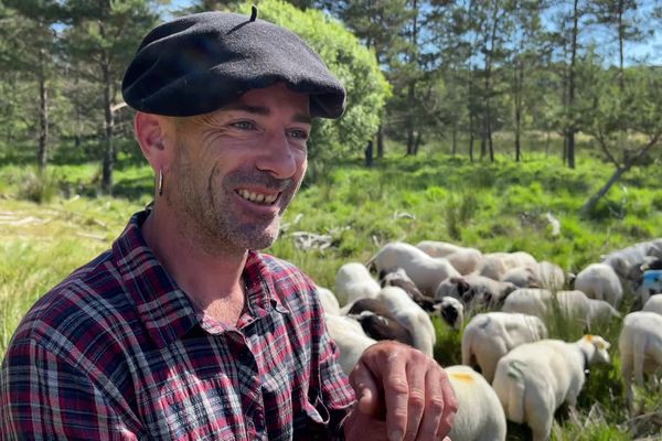 Venu des Alpes-de-Haute-Provence, Franck Mora a passé la saison estivale sur le plateau de Millevaches, auprès d'un troupeau de brebis comme sept autres bergers.