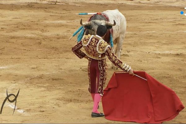 Emilio de Justo : il y a deux ans, il était célèbre… dans son village. Il est maintenant un des toreros les plus demandés dans les arènes du sud-ouest!