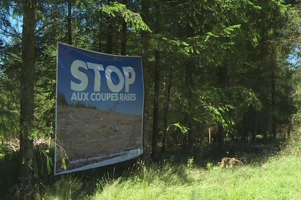 Panneau contre les coupes rases en Limousin