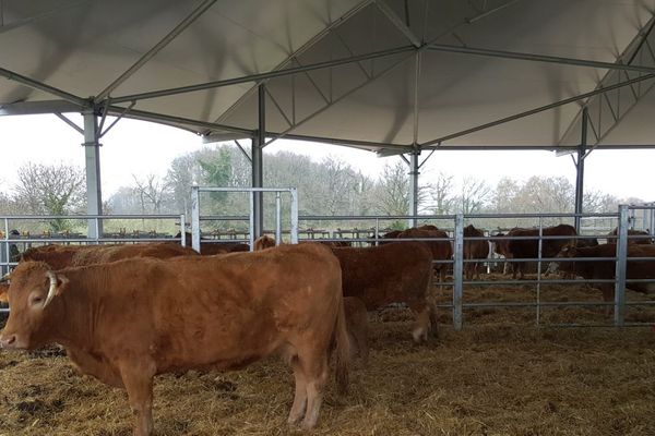 Le GAEC des Mûriers ouvrait ses portes aux visiteurs ce 12 avril 2018. L'occasion de voir de près une Roundhouse, une stabulation aux allures de yourte high- tech installée à Saint-Priest-La Feuille (23) en 2017. 