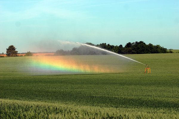 L'irrigation dans un champ forme un arc-en-ciel - Photo d'illustration