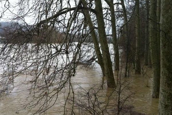 L'ile du Ramier est en partie immergée