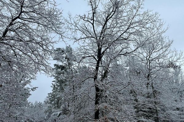 "Un mercredi sous la neige" La Teste-de-Buch - Gironde - Janvier 2023