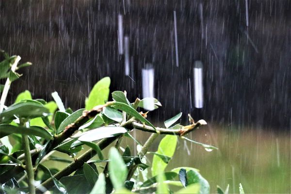 Pluie et vent au menu de ce mercredi 3 juillet 2024.