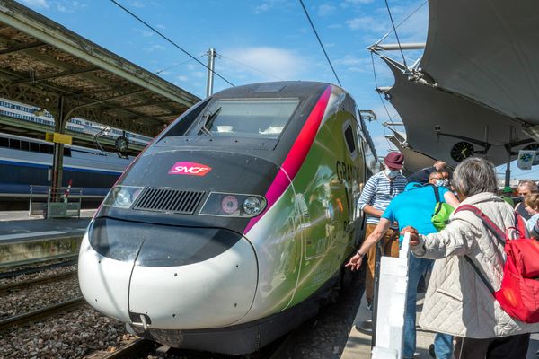 Durant le week-end du 9 au 12 novembre, la ligne à grande vitesse sera fermée à la circulation des TGV entre Lyon et Paris.