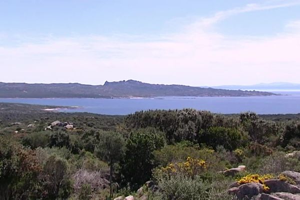 Fin des années 1960, un homme d'affaires franco-israélien a voulu implanté un complexe touristique à la Testa Ventilegne.