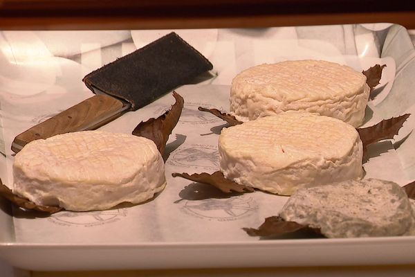 Le fromage au lait de chèvre, le Mothais sur feuille, va recevoir la dénomination AOP d'ici à quelques mois.