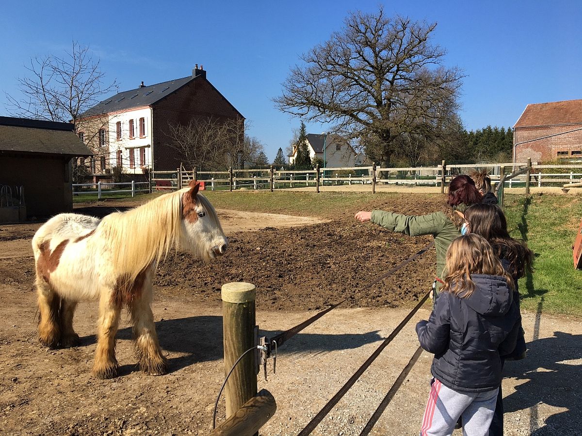 Ardennes l Arche de No un parc animalier ouvert au public