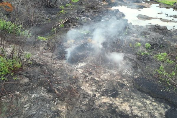 Un an après les incendies qui ont ravagé la Gironde, le lignite présent dans les sous-sols brûle encore autour des lacs d'Hostens. Un phénomène inédit qui fait l'objet de la plus grande attention des autorités.