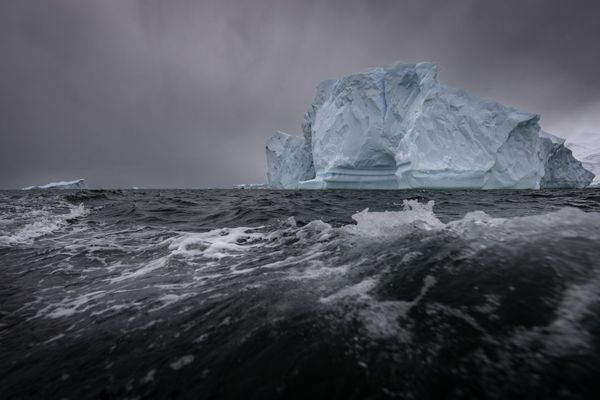 En ce début d'été austral dans l'hémisphère sud, les icebergs quittent la zone de banquise et entament un long voyage de plusieurs milliers de kilomètres.