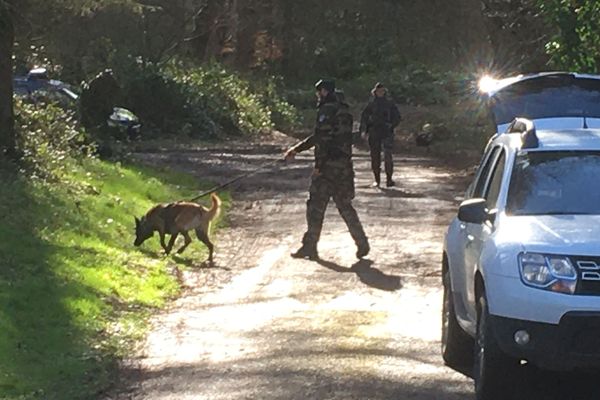 Depuis la mi-journée, le chemin d'accès à la forêt de Retz, à Saint-Pierre-Aigle, est bouclé par les gendarmes