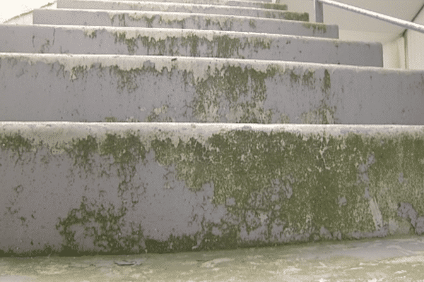 Cet escalier déjà décrépi a été construit il y a seulement 3 ans. 