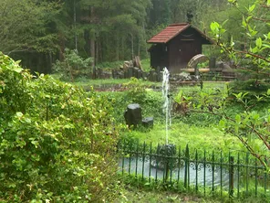 En Haute-Loire, sur la commune de Saint-Julien-du-Pinet, à une vingtaine de kilomètres au nord-est du Puy-en-Velay, un octogénaire est devenu l'heureux propriétaire du moulin qui a bercé son enfance.