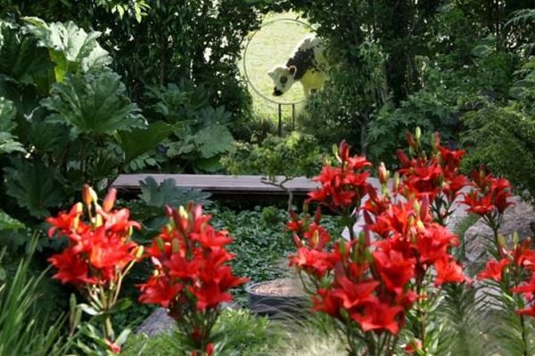 Membre du réseau Suisse Normande Territoire Préservé: le jardin intérieur à ciel ouvert d'Athis de l'Orne