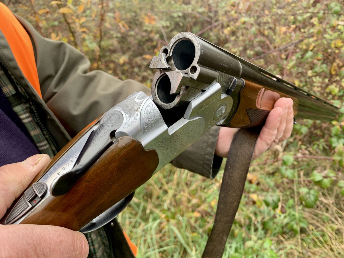 Finistère : Un chasseur blessé par l'explosion de son fusil lors d'une  battue