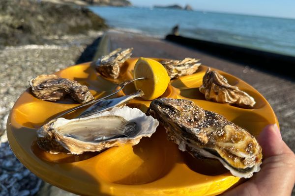 Plus précisément, la zone concernée par l’interdiction des huîtres et des moules se situe entre Vildé-la-Marine et Le Vivier-sur-Mer. Entre ces deux communes, on retrouve celle d'Hirel, en Ille-et-Vilaine.