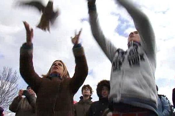 Après plusieurs mois de soins au refuge héraultais de Laroque, les oiseaux ont retrouvé la liberté lors d'un grand lâcher près de la ferme des Barasquettes, sur le plateau du Larzac.