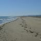 La plage de la Vieille-Nouvelle fait partie intégrale de la réserve naturelle de Port-la-Nouvelle.