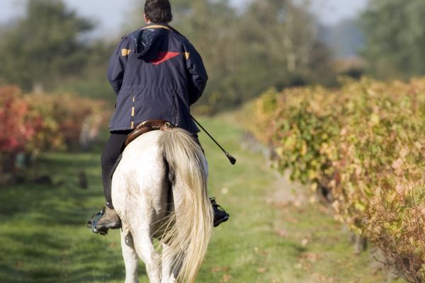 La promenade matinale de deux cavalières a mal tourné du côté de Mutzig, les pompiers ont dû intervenir pour les secourir