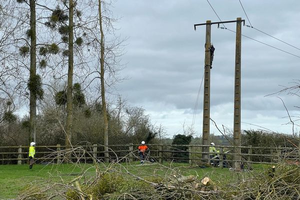 Des techniciens interviennent sur un câble endommagé, à Putot-en-Auge (Calvados), le 27 février 2024.