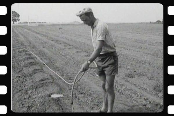 Sécheresse de 1976 : difficile pour les agriculteurs 