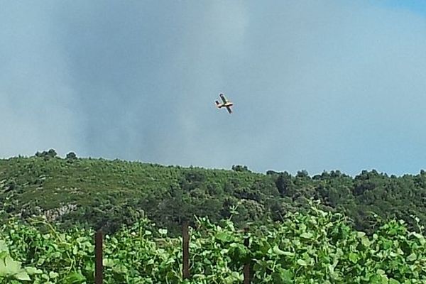Fleury-d'Aude - 1er feu de l'été dans l'Aude - 25 juin 2013.
