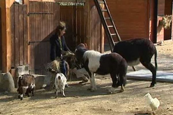 Nathalie Dos Santos avec ses animaux, en avril 2014, dans sa ferme pédagogique à Vertaizon.